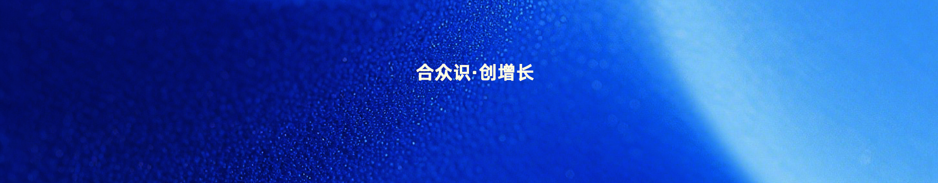 核心业务